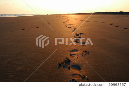 Footprints following the sandy beach at sunset Footprints following the sandy beach at sunset 60968567