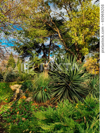 Green Tropical Plants Landscape Journey summer nice Green Tropical Plants Landscape Journey summer nice 60969208