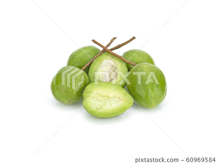 Chebulic Myrobalans, Myrolan Wood (Terminalia 60969584