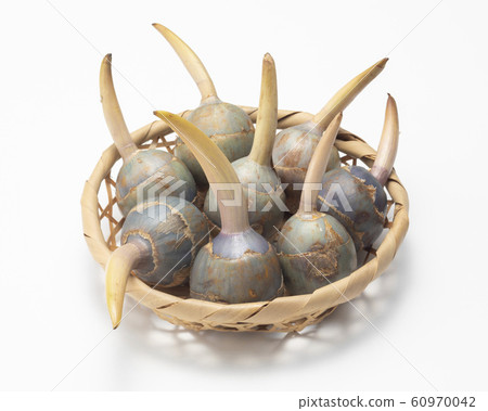 Kuwai Kuwai 60970042
