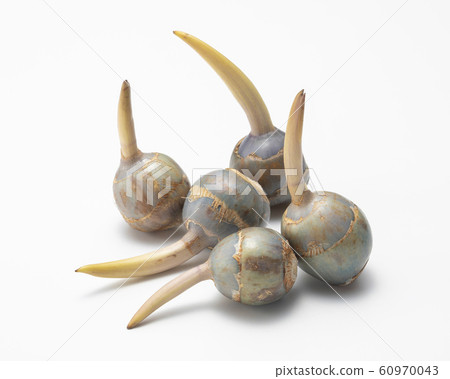 Kuwai Kuwai 60970043