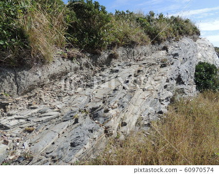 Senramaiwa（座間味島/沖繩） 60970574