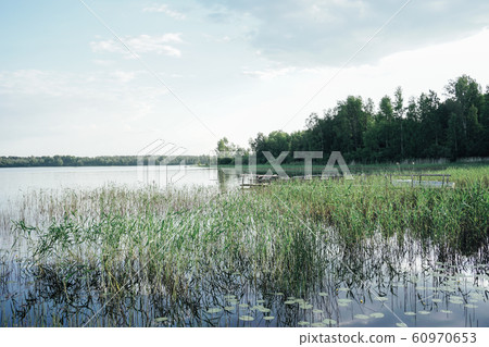 Lake forest green landscape nature of Russia Lake forest green landscape nature of Russia 60970653