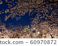 Osaka Castle and Sakura 60970872