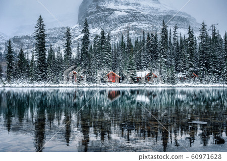 Wooden lodge in pine forest with heavy snow Wooden lodge in pine forest with heavy snow 60971628