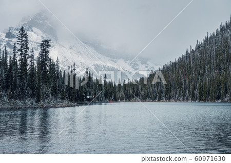 Wooden lodge in pine forest with heavy snow and 60971630