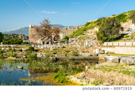 Ruins of the Letoon in Turkey Ruins of the Letoon in Turkey 60971919