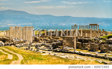 Laodicea on the Lycus, an archaeological site in 60971985