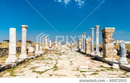Laodicea on the Lycus, an archaeological site in 60972003