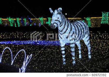 Light Festival Motobuchie Park, Hokima, Adachi-ku Light Festival Motobuchie Park, Hokima, Adachi-ku 60972392