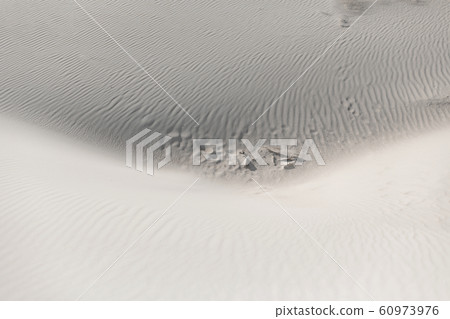 Footprints in the sandy desert a a Footprints in the sandy desert a a 60973976