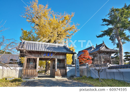 [Mujinzan Shogon-in Temple Jizoji Temple] (Shikoku Sacred Site No. 5 Temple) Rakan Rinto, Itano-cho, Itano-gun, Tokushima Prefecture 60974595