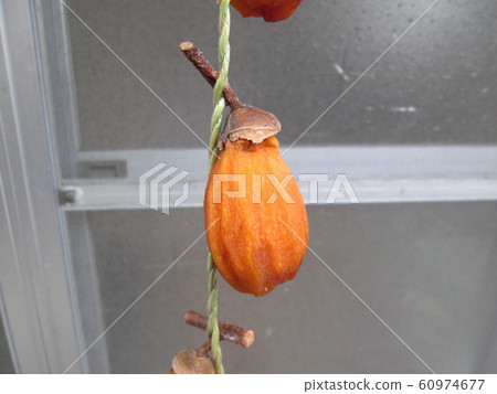 Hanging persimmon Hanging persimmon 60974677