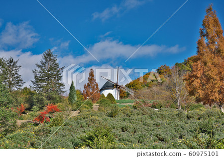 [阿斯塔姆德島風車]德島縣板野郡板野町北約奇比嘉穀 60975101