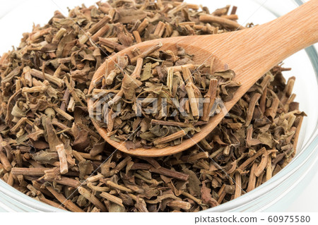 梵天Bacopa monnieri:梵天,Bacopa monnieri 梵天Bacopa monnieri:梵天,Bacopa monnieri 60975580