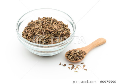 梵天Bacopa monnieri:梵天,Bacopa monnieri 梵天Bacopa monnieri:梵天,Bacopa monnieri 60975590