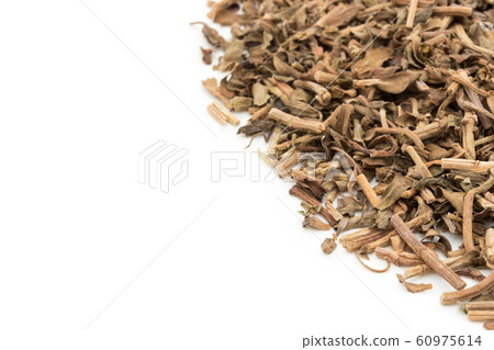 梵天Bacopa monnieri:梵天,Bacopa monnieri 梵天Bacopa monnieri:梵天,Bacopa monnieri 60975614