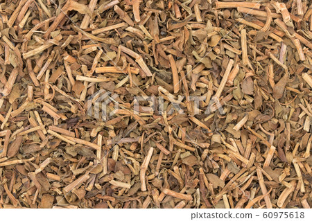 梵天Bacopa monnieri：梵天，Bacopa monnieri 60975618