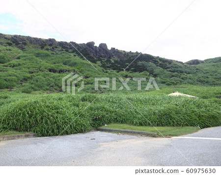 Yonaguni Island (Higashizaki) 60975630