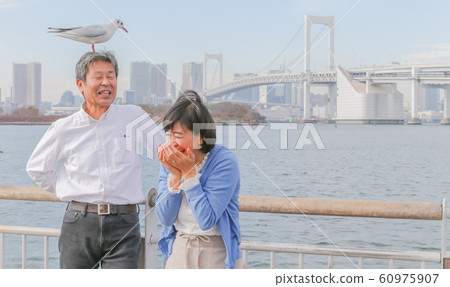 Odaiba Seagull and married couple Rainbow Bridge 2020 Olympic venue Odaiba Seagull and married couple Rainbow Bridge 2020 Olympic venue 60975907