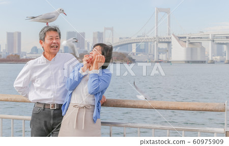 Odaiba Seagull and married couple Rainbow Bridge 2020 Olympic venue Odaiba Seagull and married couple Rainbow Bridge 2020 Olympic venue 60975909