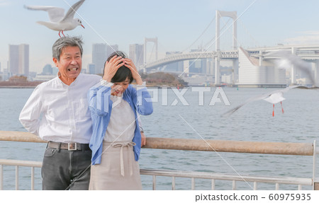 Odaiba Seagull and married couple Rainbow Bridge 2020 Olympic venue Odaiba Seagull and married couple Rainbow Bridge 2020 Olympic venue 60975935