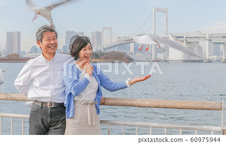 Odaiba Seagull and married couple Rainbow Bridge 2020 Olympic venue Odaiba Seagull and married couple Rainbow Bridge 2020 Olympic venue 60975944