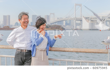 Odaiba Seagull and married couple Rainbow Bridge 2020 Olympic venue Odaiba Seagull and married couple Rainbow Bridge 2020 Olympic venue 60975945