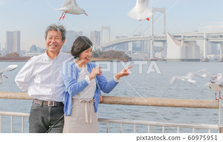 台場海鷗和已婚夫婦彩虹橋2020年奧運會場地 台場海鷗和已婚夫婦彩虹橋2020年奧運會場地 60975951