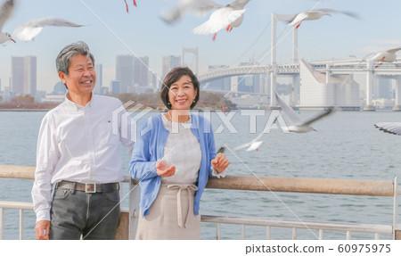 Odaiba Seagull and married couple Rainbow Bridge 2020 Olympic venue Odaiba Seagull and married couple Rainbow Bridge 2020 Olympic venue 60975975