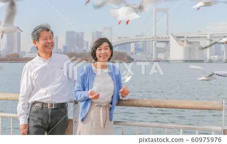 Odaiba Seagull and married couple Rainbow Bridge 2020 Olympic venue 60975976