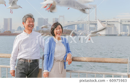 Odaiba Seagull and married couple Rainbow Bridge 2020 Olympic venue Odaiba Seagull and married couple Rainbow Bridge 2020 Olympic venue 60975983
