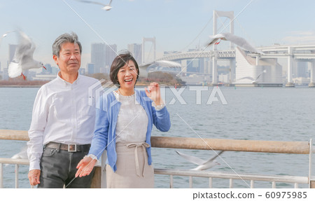 Odaiba Seagull and married couple Rainbow Bridge 2020 Olympic venue Odaiba Seagull and married couple Rainbow Bridge 2020 Olympic venue 60975985