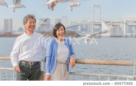 Odaiba Seagull and married couple Rainbow Bridge 2020 Olympic venue Odaiba Seagull and married couple Rainbow Bridge 2020 Olympic venue 60975988