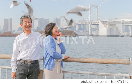 Odaiba Seagull and married couple Rainbow Bridge 2020 Olympic venue Odaiba Seagull and married couple Rainbow Bridge 2020 Olympic venue 60975992