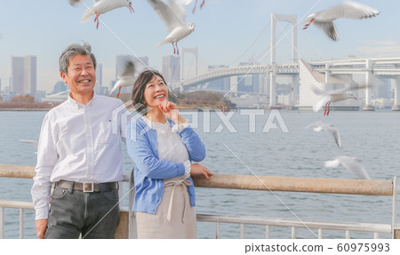 Odaiba Seagull and married couple Rainbow Bridge 2020 Olympic venue Odaiba Seagull and married couple Rainbow Bridge 2020 Olympic venue 60975993