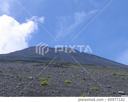 Fuji top view from Gotemba route 60977182