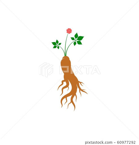 Ginseng vector icon illustration 60977292