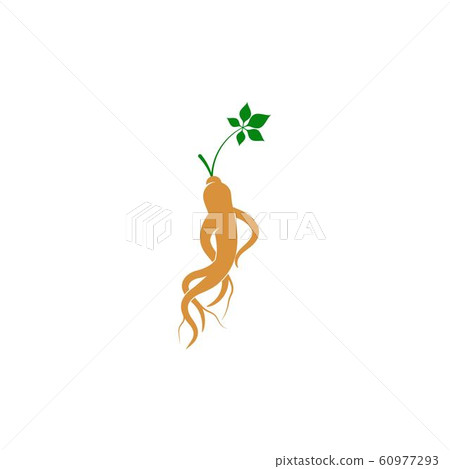 Ginseng vector icon illustration 60977293