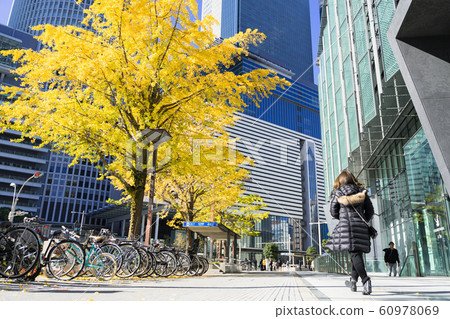 名古屋車站前城市景觀銀杏南木在名古屋大廈前 名古屋車站前城市景觀銀杏南木在名古屋大廈前 60978069