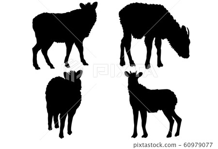 動物剪影野生羚羊 動物剪影野生羚羊 60979077