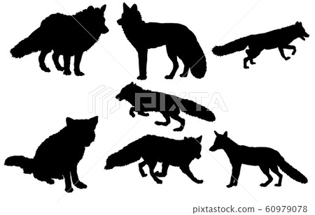 Animal silhouette wild fox Animal silhouette wild fox 60979078