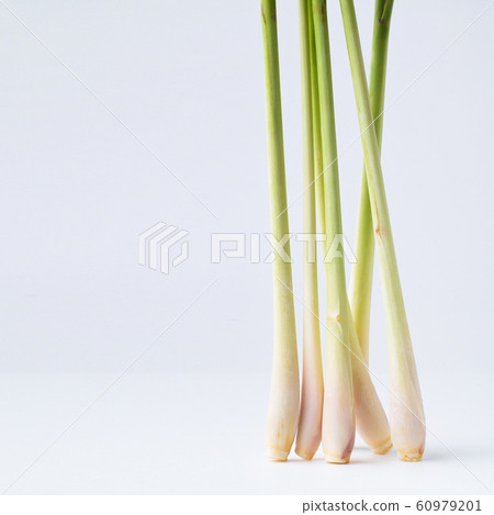 Lemon Grass on white background Lemon Grass on white background 60979201