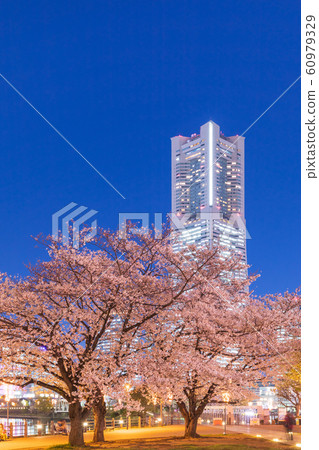 橫濱_港未來春天 60979329