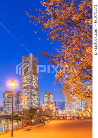 橫濱_港未來春天 橫濱_港未來春天 60979371