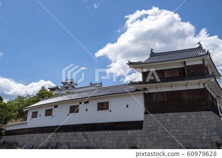 Summer Fukuchiyama Castle 60979628