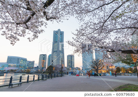 Yokohama _ Minato Mirai Spring View Yokohama _ Minato Mirai Spring View 60979680