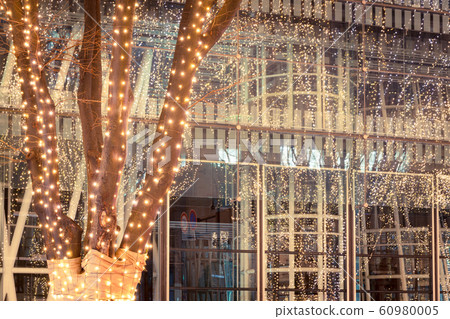 SENDAI Hikari Pageant 2019 Sendai City, Miyagi Prefecture 60980005