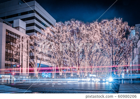 SENDAI Hikari Pageant 2019 Sendai City, Miyagi Prefecture 60980206