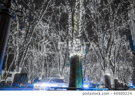 SENDAI Hikari Pageant 2019 Sendai City, Miyagi Prefecture 60980224